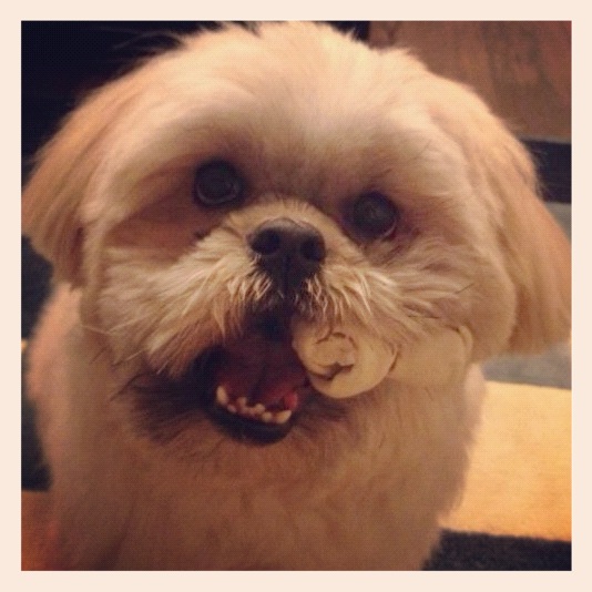 Iki  - Fofucho da titia